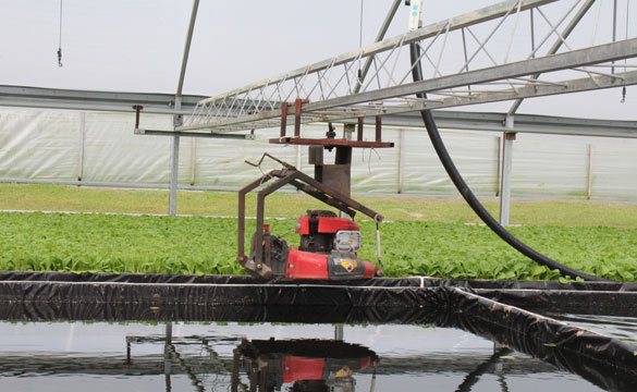 greenhouse clipping systems