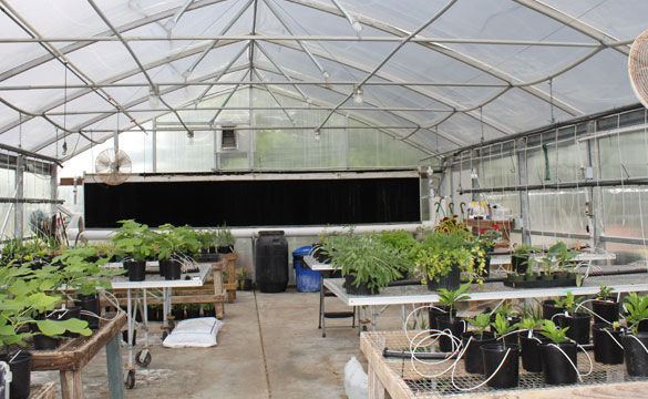 Greenhouse Megastore Greenhouses, Greenhouse Supplies, Garden Supplies